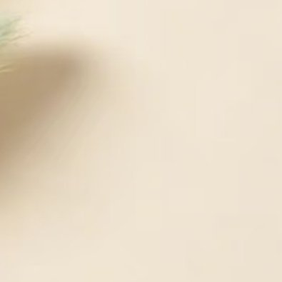 每日一善 只有你学会把自己已有的成绩都归零，才能腾出空间去接纳更多的新东西，如此