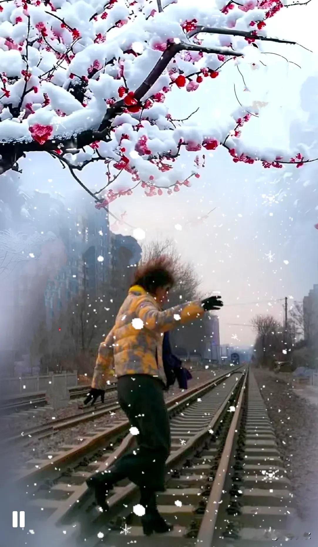冬的纯洁与安宁，就在这漫天飘落的雪花里。