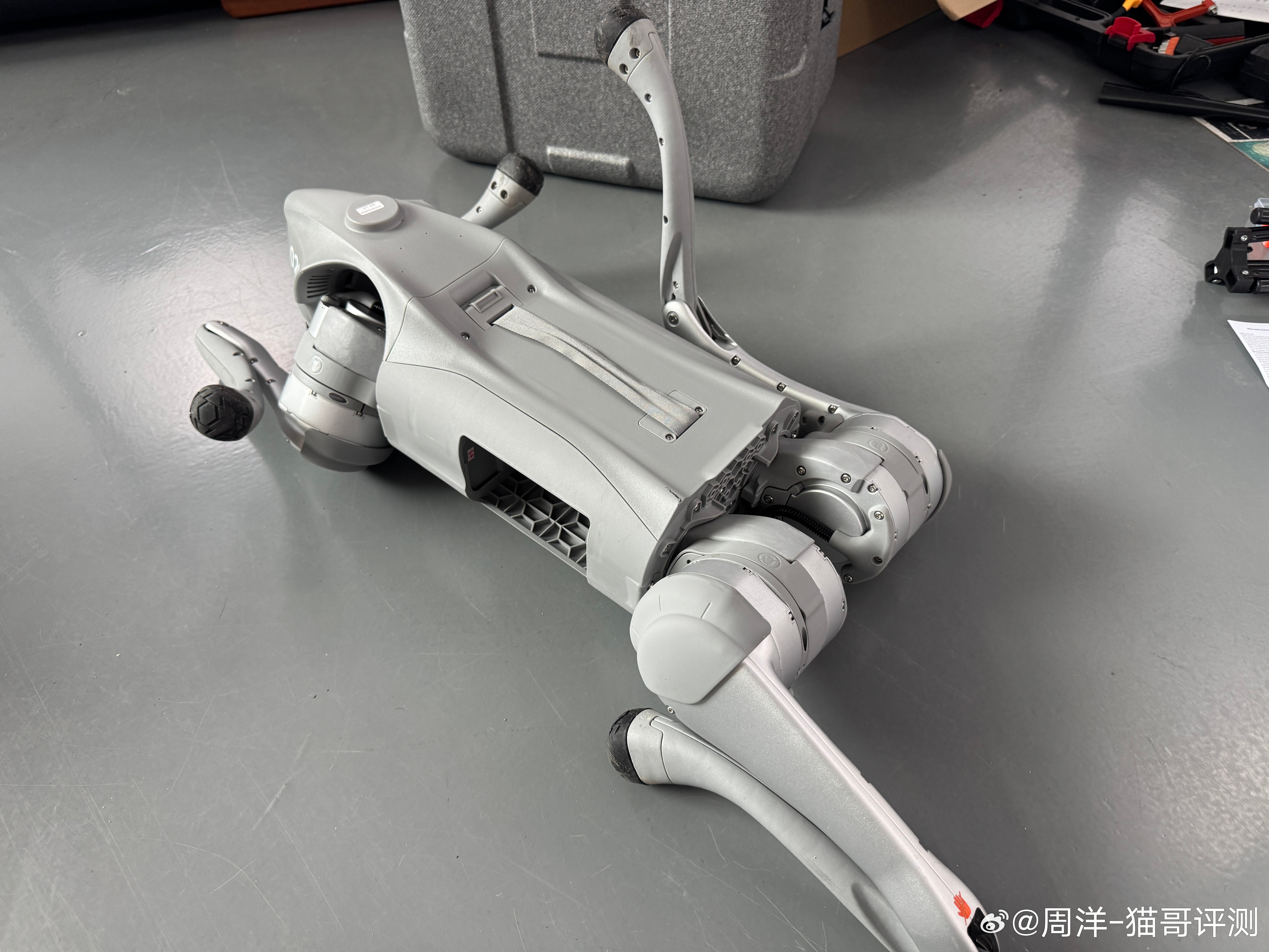 买了条宇树的狗，待会拉出溜溜，找条真狗挑逗下，看看什么反应！待会视频见！ ​​​