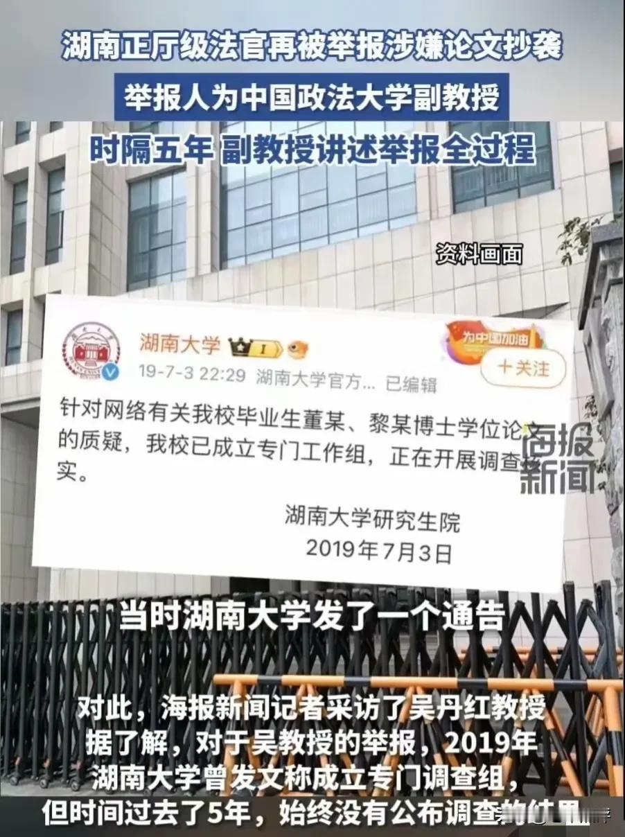 拟提拔为正厅级的湖南省高级人民法院副院长董岚，在公示期间被中国政法大学教授、知名