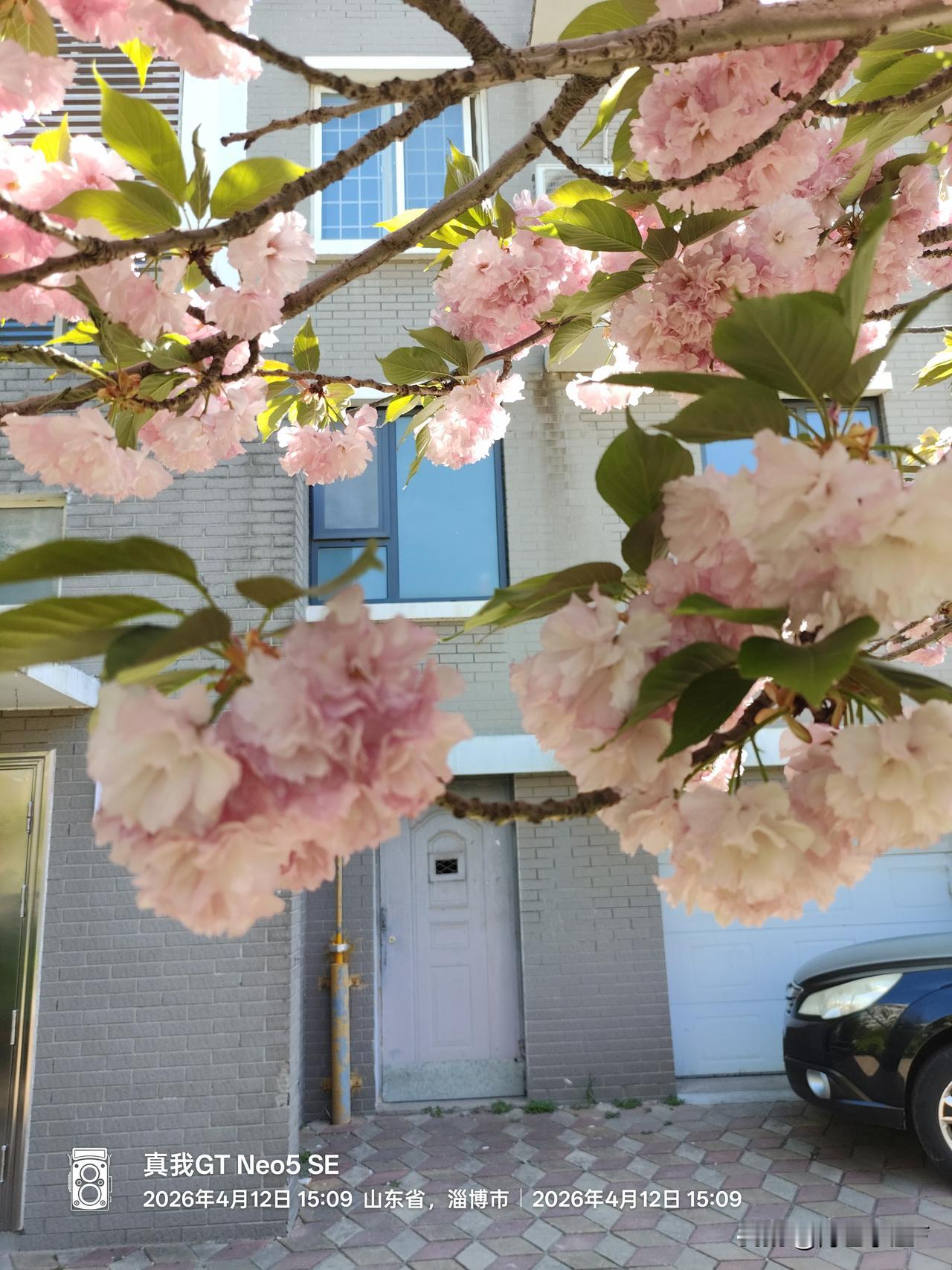 再谈领免费鸡蛋之老太太们

前头我说过领免费鸡蛋的老太太们，今天我和他们交流，他