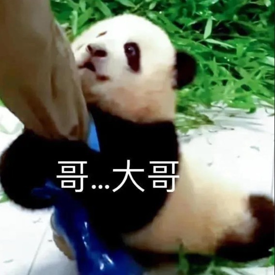 26到117 哥…这两天追分 两位都给我看爽了 