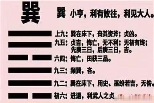 六爻巽宫卦断语 1、《巽为风》：梅花易数中有顺的意思。但是六冲卦不顺，逆境求生。