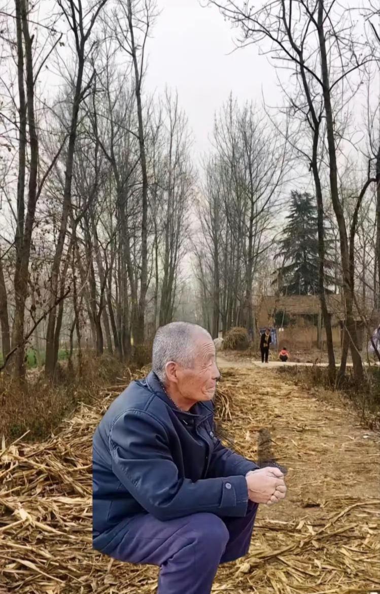 情感歌曲分享大家一一