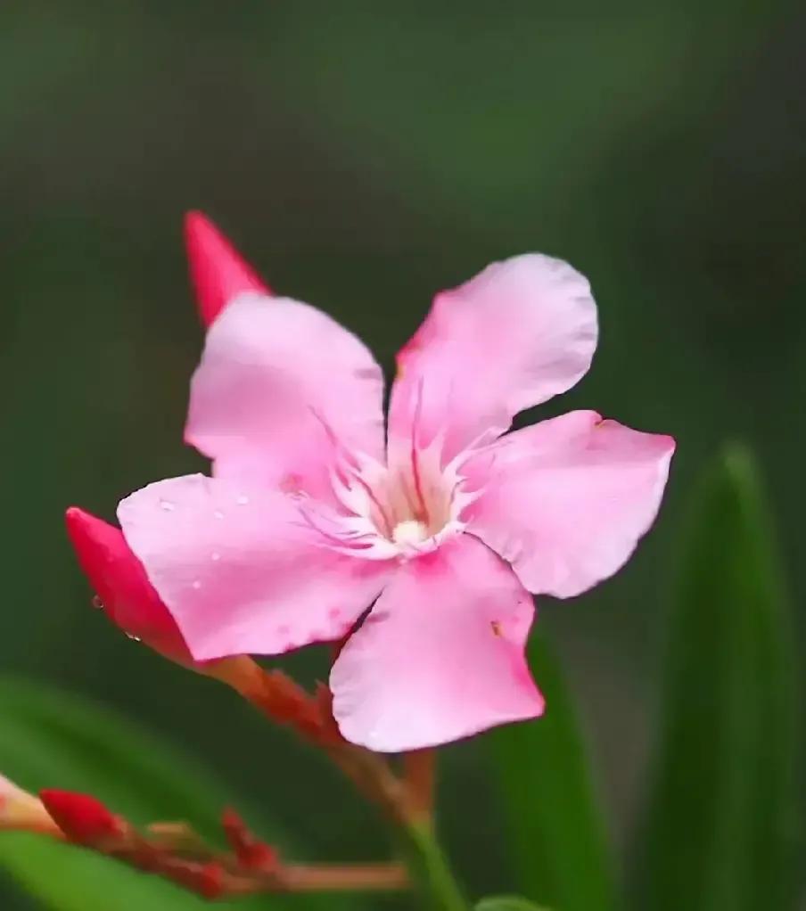 我刷到一条新闻说全国城镇里上班的女性已经破两亿，快占劳动力四成。
我立马把截图甩