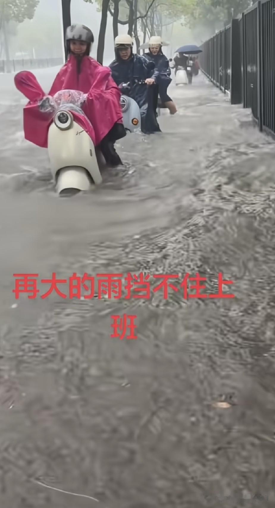 雨大挡不住上班
企业工资是按天
如若公职事业编
喊祖奶也不上班
咱就吃这大锅饭