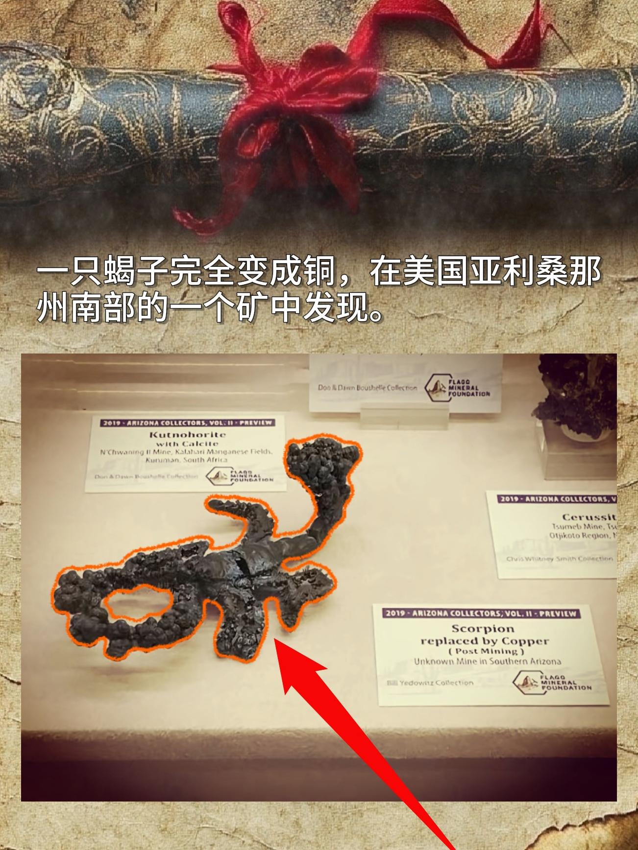 一只蝎子完全变成铜，在美国亚利桑那州南部的一个矿中发现。