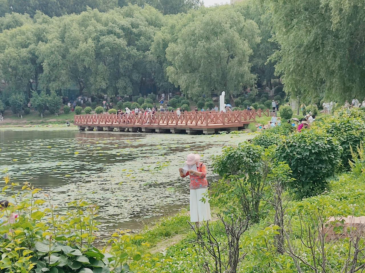 夏日美景遍天下，各地都有特色，人们把握好时机，享受大自然景色。
