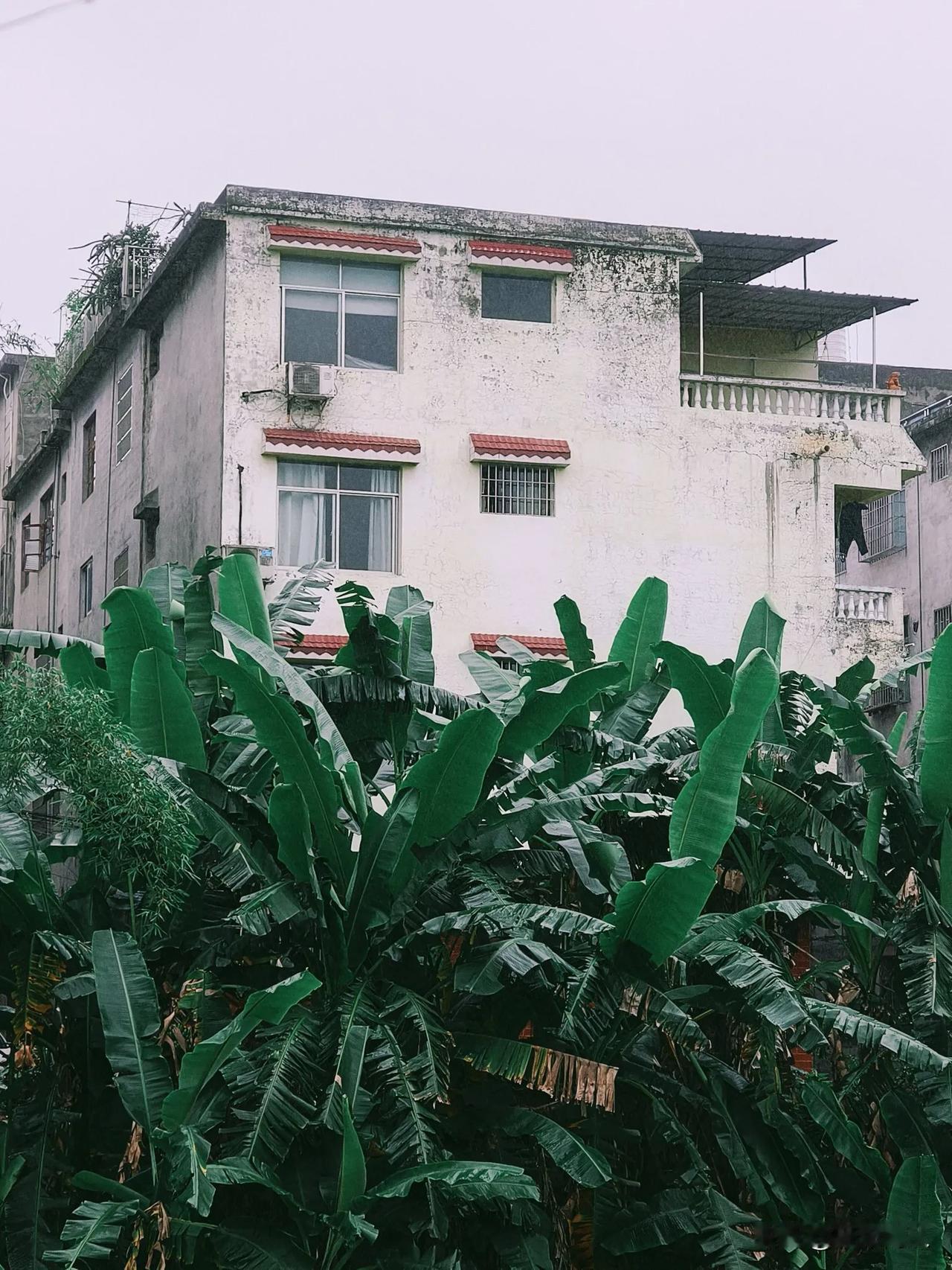 学驾照时,你认为科目几最难? 考驾照时，不同科目难度因人而异。对初学者来说，科目