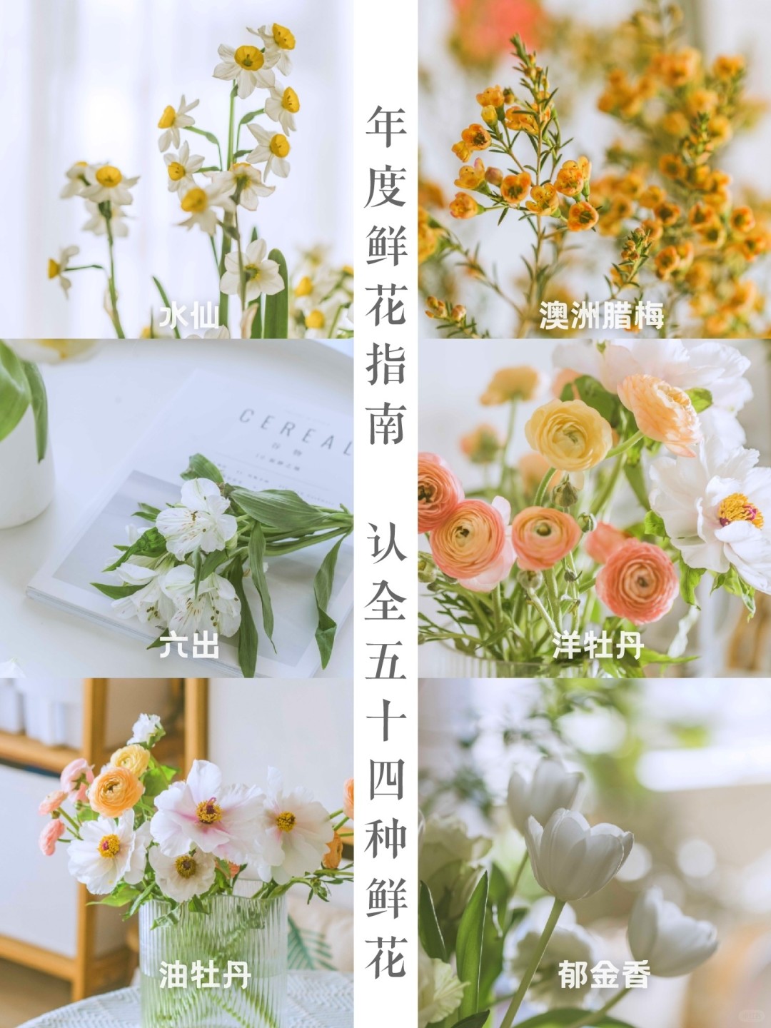 理工男鲜花花期指南 🌼我一年买了54种花