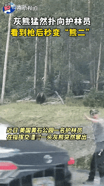 看到了吧，真理在手中，灰熊不敢冲[思考]