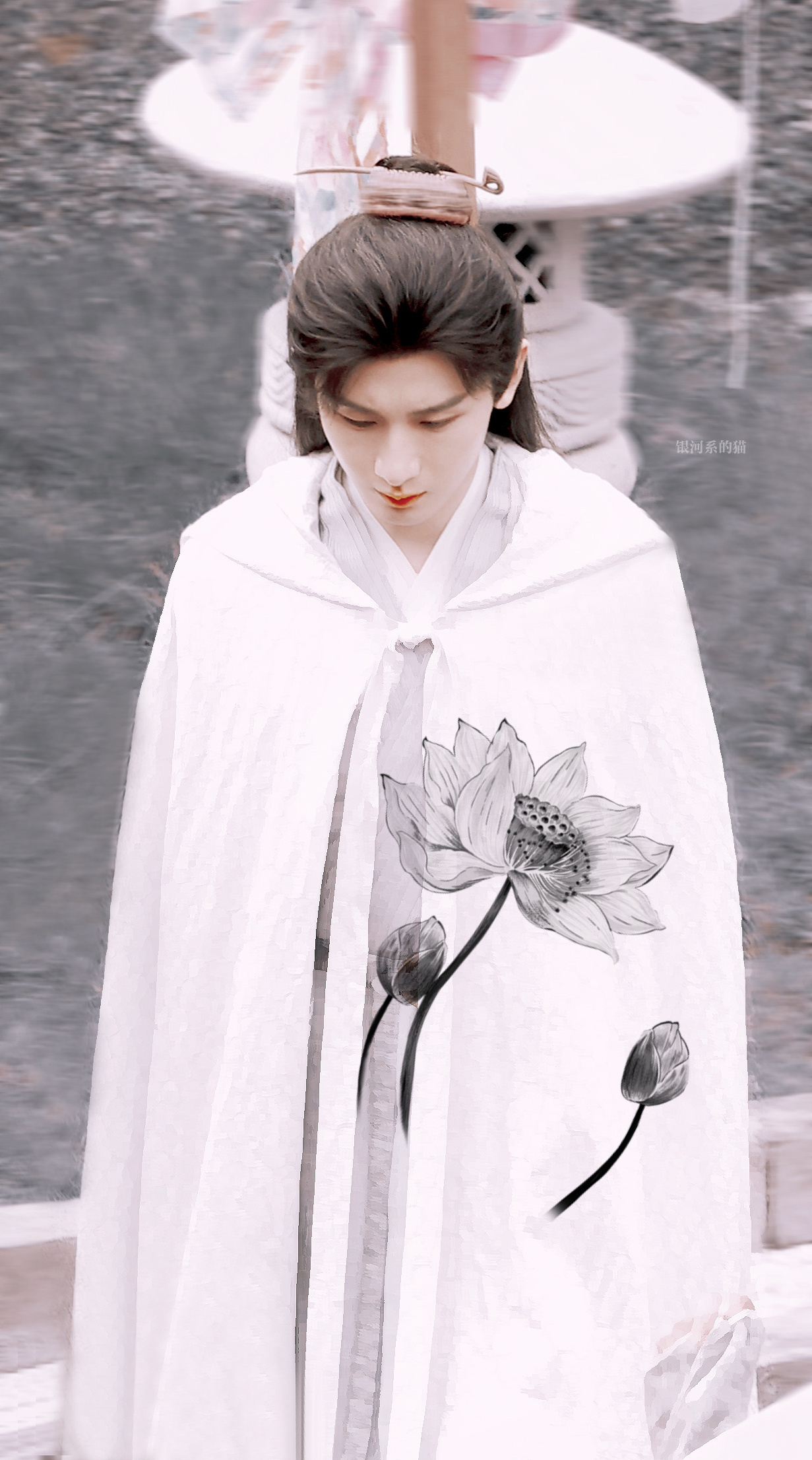 一起来赏花…绝美！ 