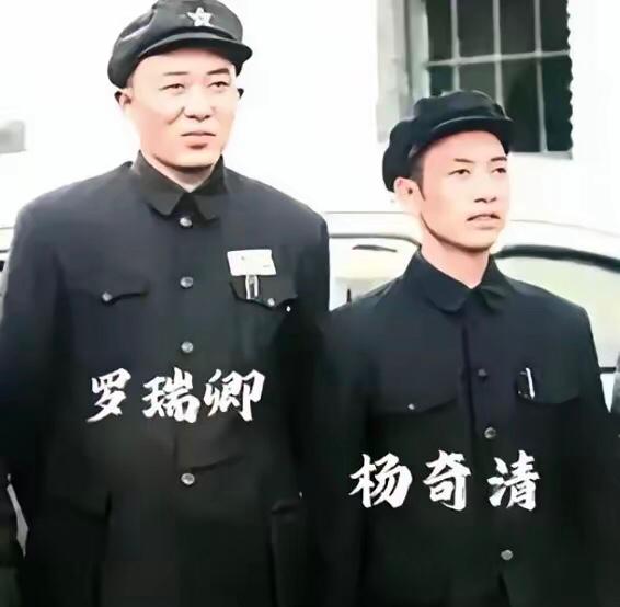 1940年，莫三航举报高二根在朱德饭菜里下毒。在证据都指向高二根的关键时刻，杨奇