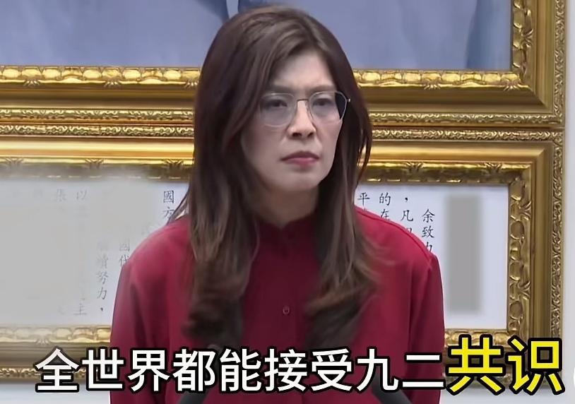 郑丽文句句讥珠，一针见血，说得太好啦！[赞]台独首领赖清德，访非洲斯威士兰受阻后