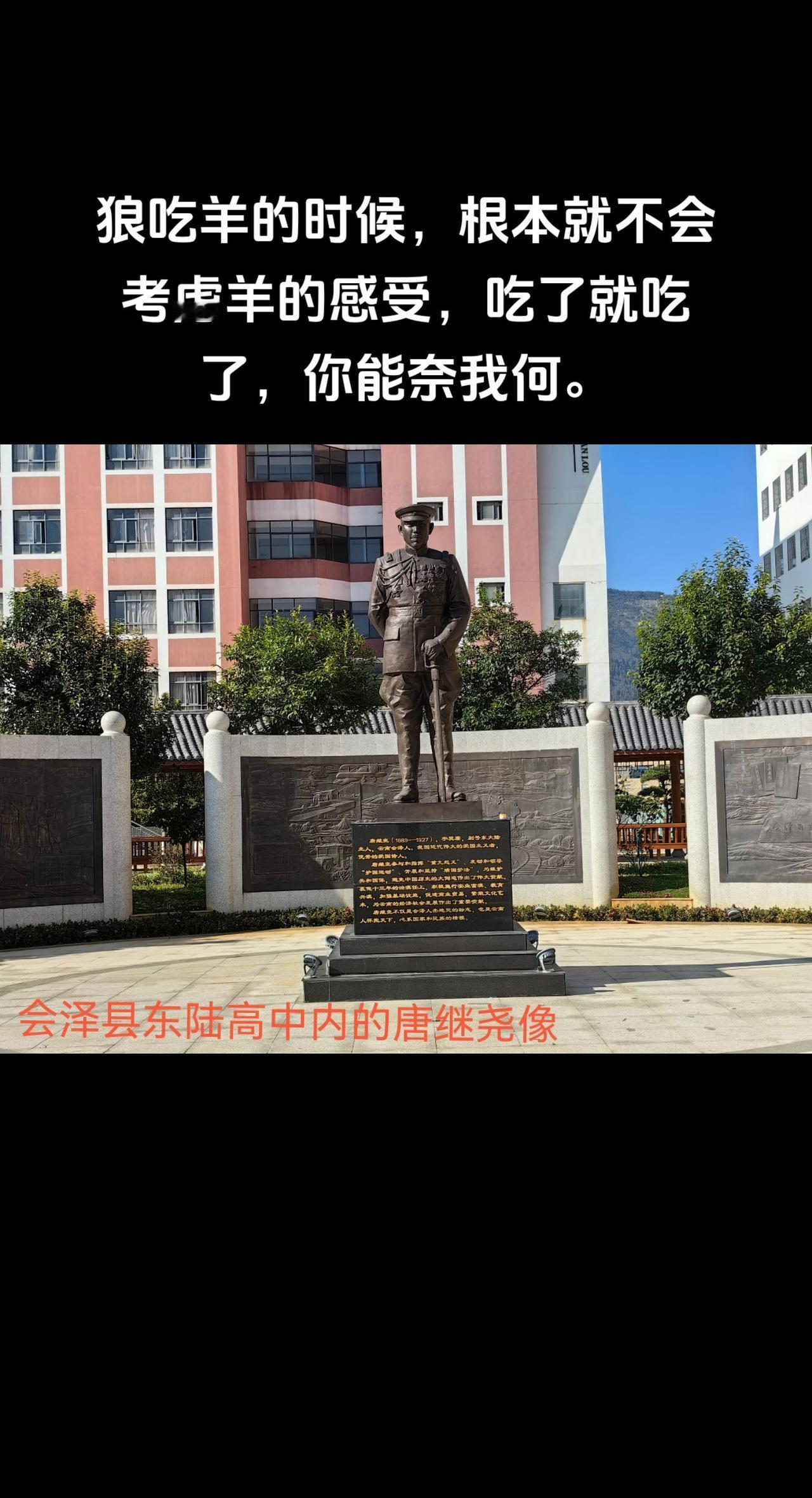 狼吃羊的时候，根本就不会考虑羊的感受，吃了就吃了，你能奈我何。