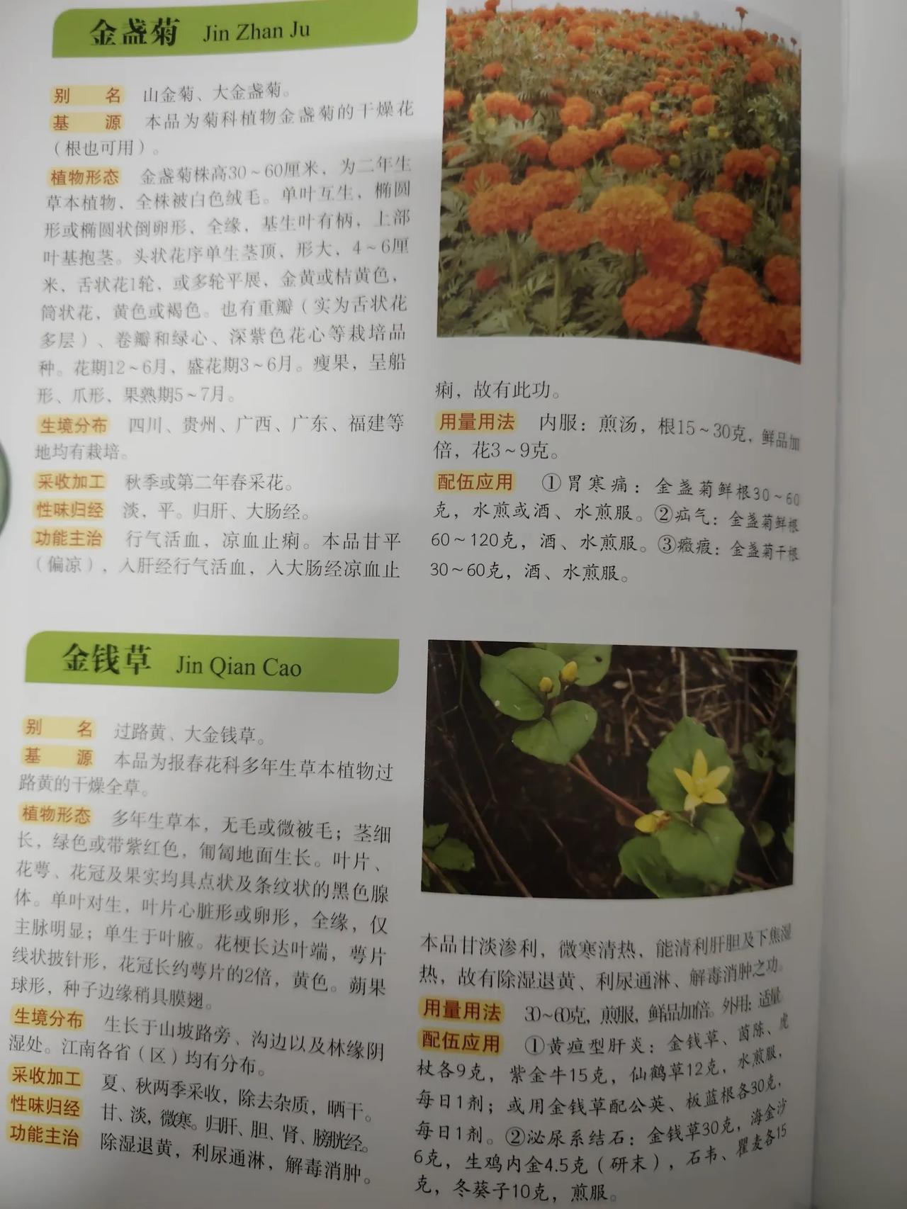 本草纲目的图片很直观，很多中草药在山林、旱地和路边都见过，学习了之后自己的知识又