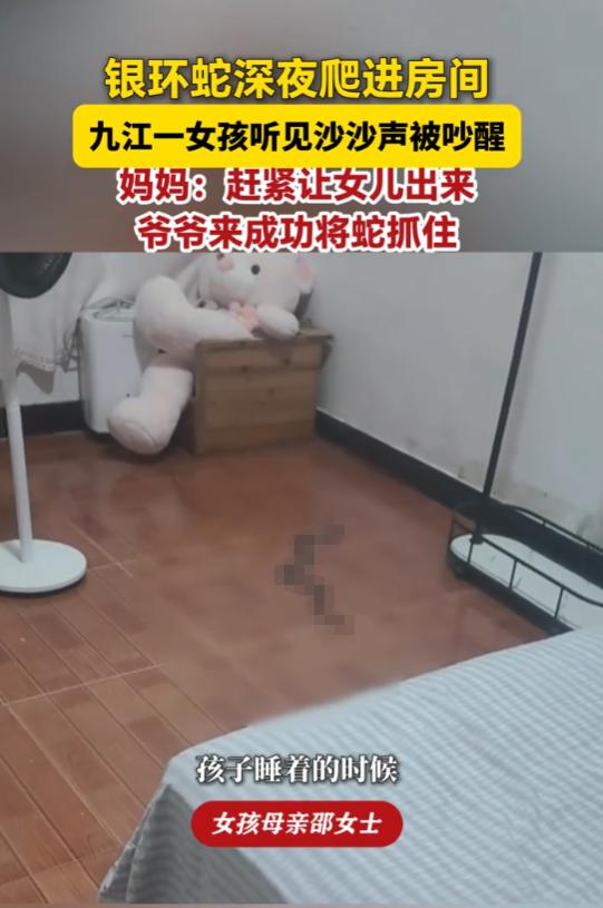 深夜11点多，女儿突然在卧室里大喊，母亲冲进去一看，头皮瞬间发麻：床边地板上，一