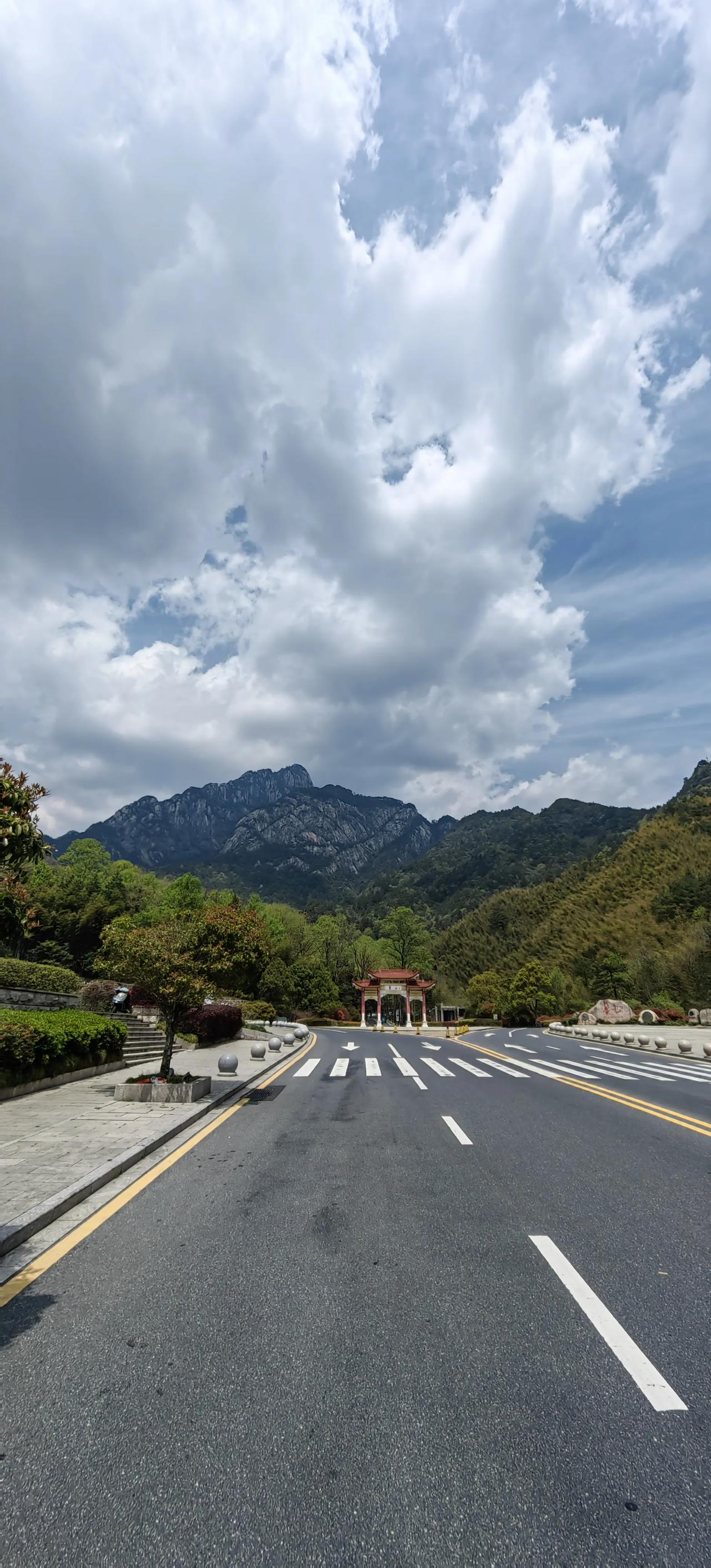 黄山牛皮