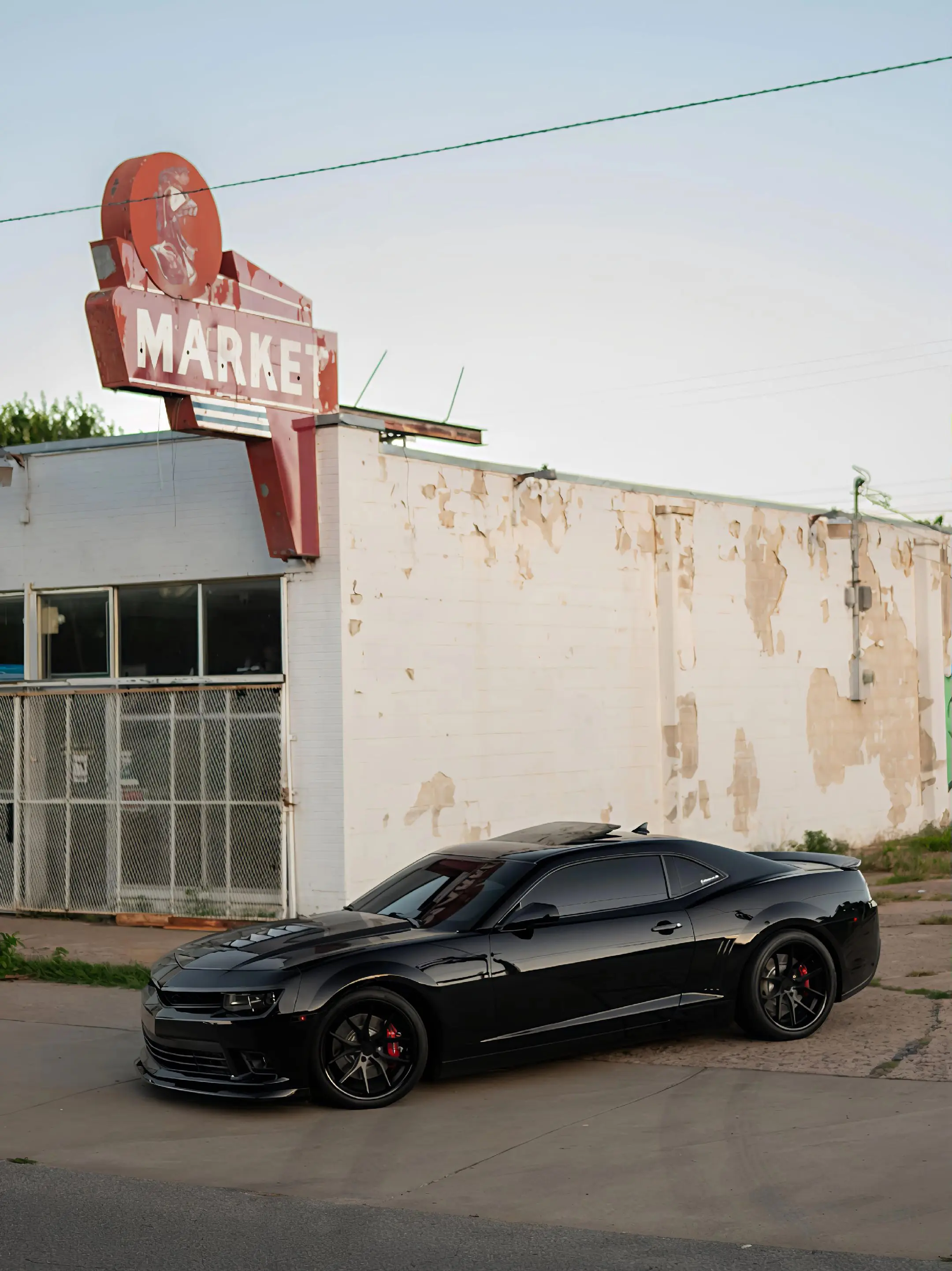 孤独是常态…… 科迈罗