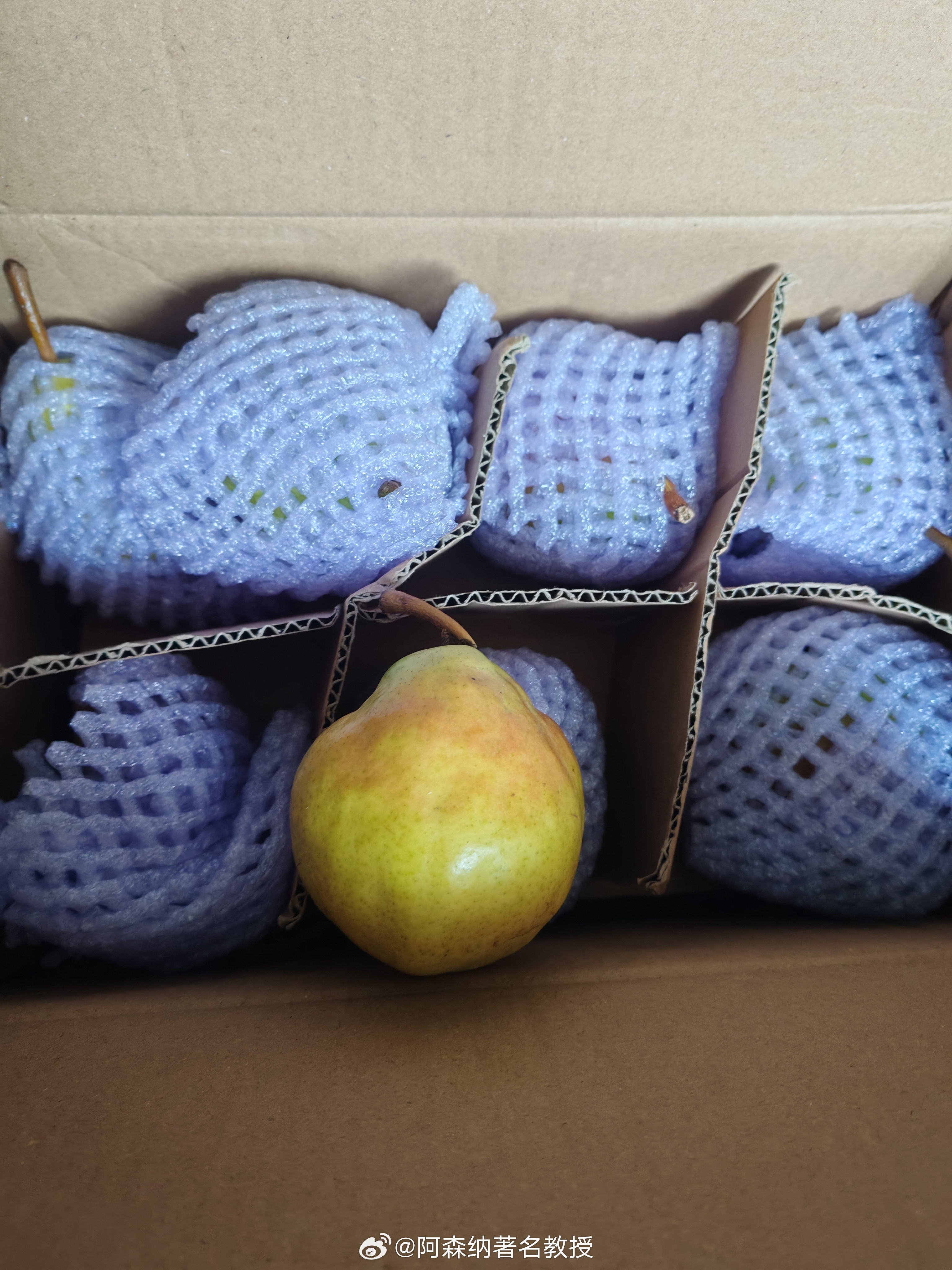 中午吃几个太婆梨好了，就不吃饭了，终于熬到了秋高气爽 北京