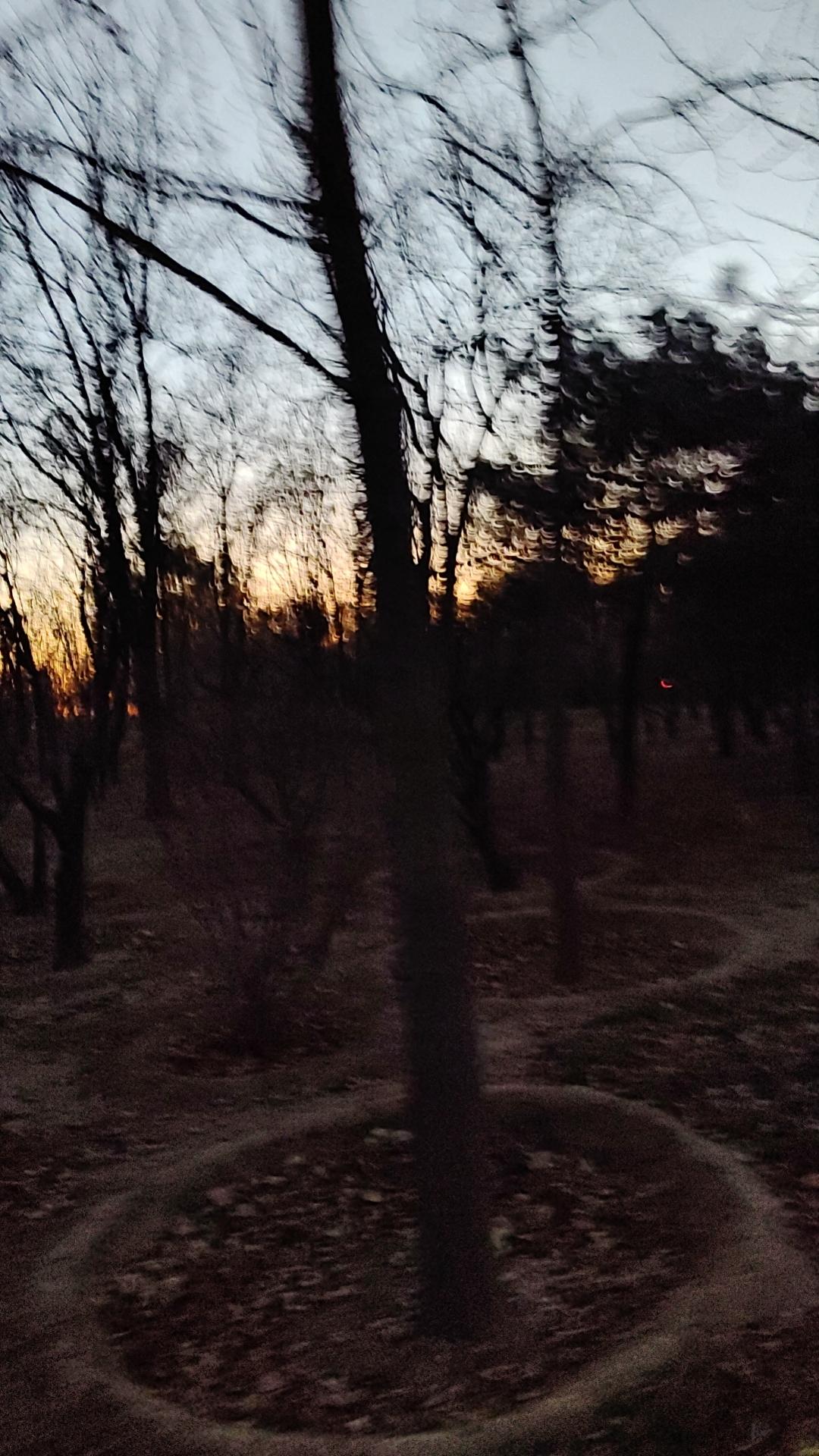 迎着清晨的第一缕阳光，跑完9.4公里，时间1小时6分。