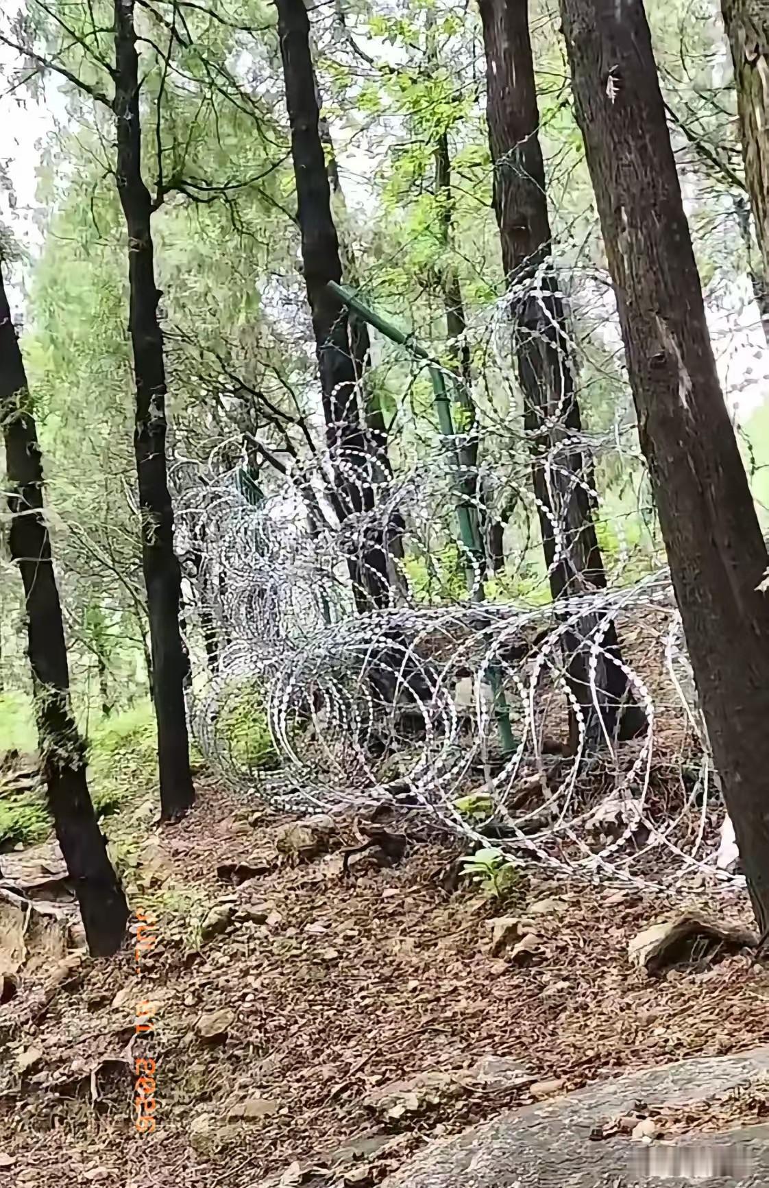 太好了！舆论呼声得到了重视，整改动作迅速落地：6月30日，泰山管委会正式表态，将