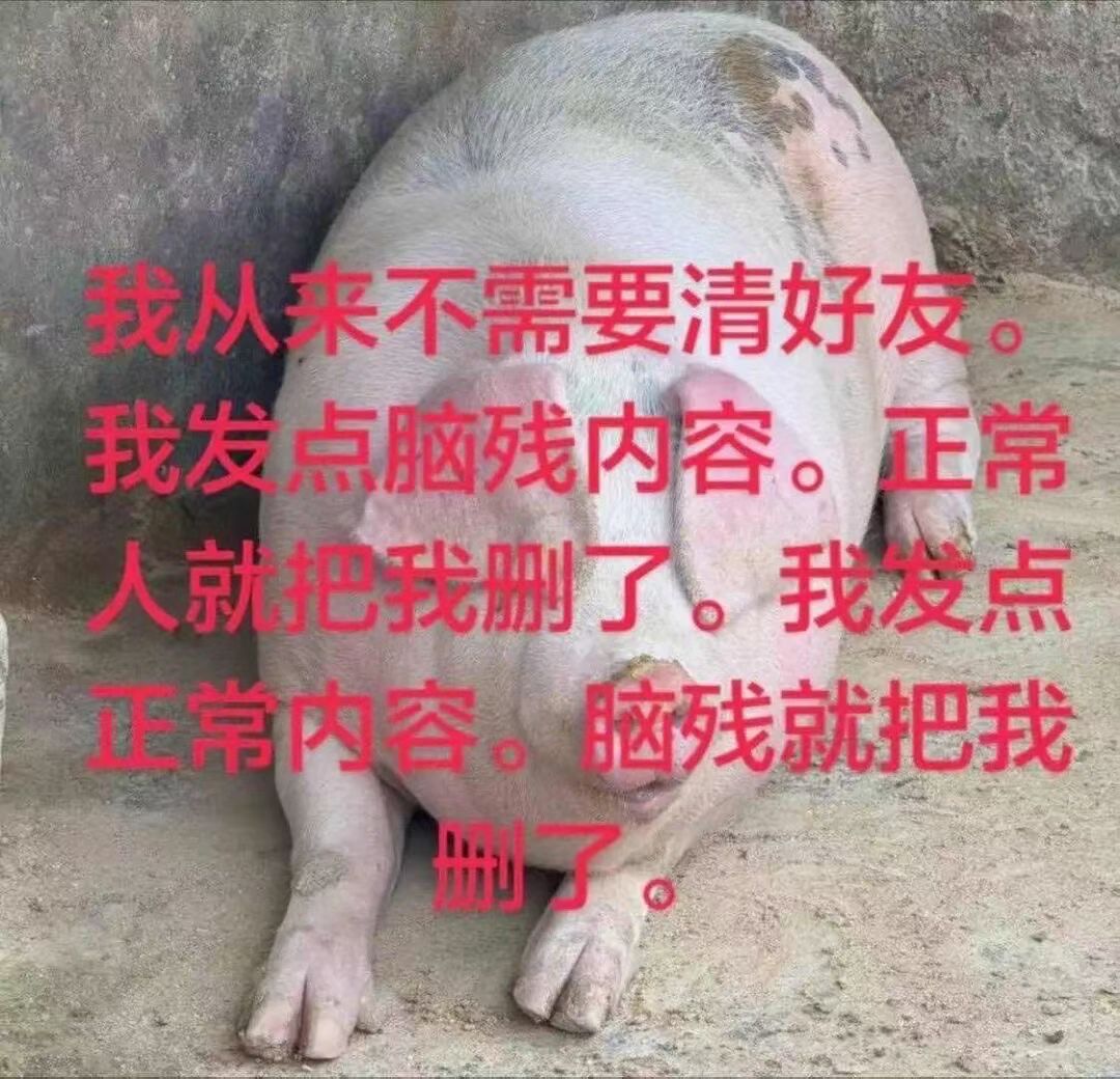 分享图片 