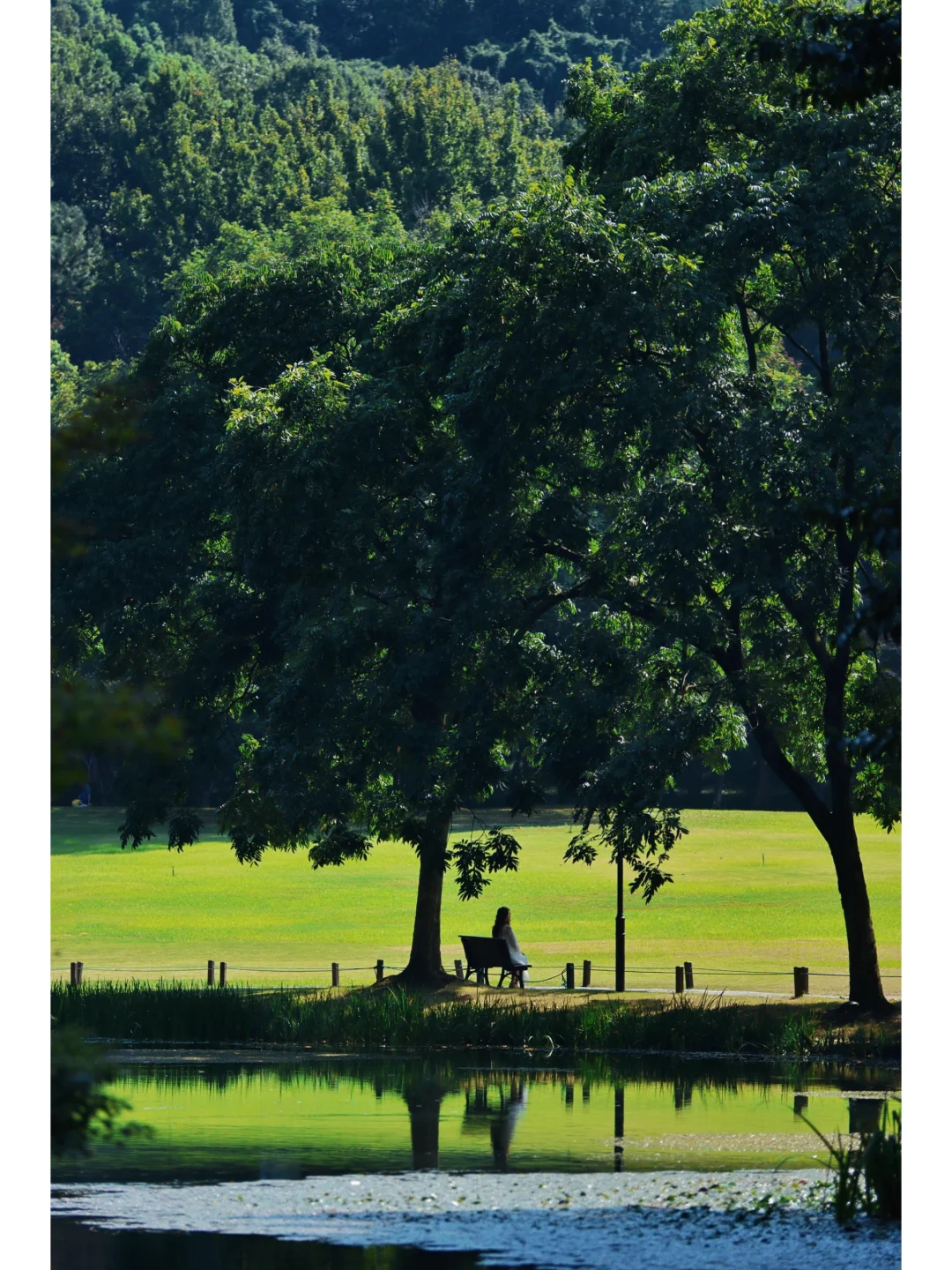 🍃听听劝：来杭州要逛完这7个公园才不留遗憾