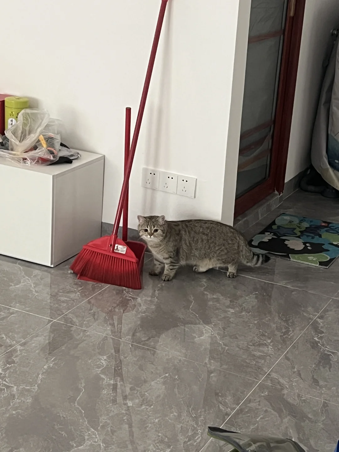 猫师傅想上班了