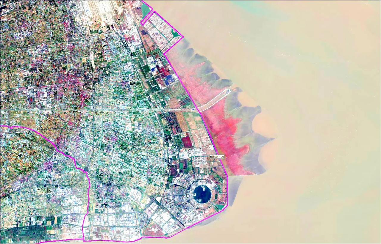 上海市浦东新区最新卫星图（3.20）