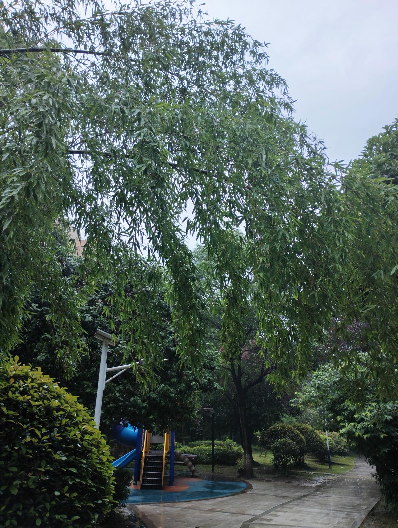 要花掉一百万元是分秒的事情，买一套房子少说一百万。买一件象样的大衣少说几千元以上