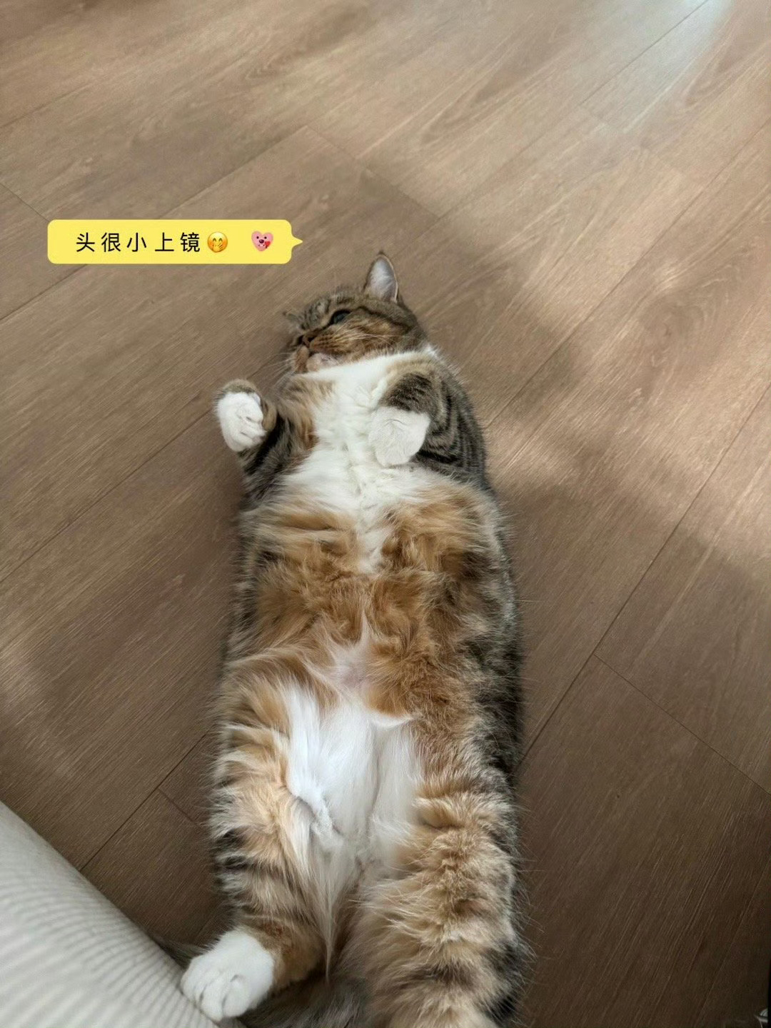 去年的今天骨折了 一年喽 我要开始逐步恢复运动喽（谁敢信我一年没有跑跳了） 