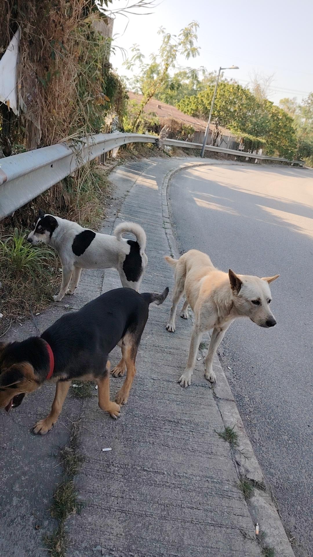 分享一张最近随手拍的照片