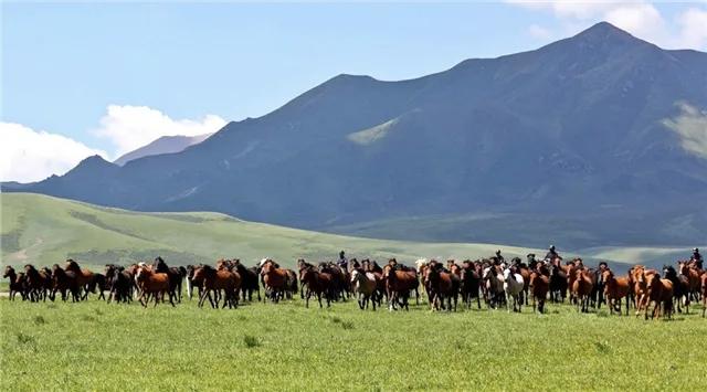【真正的尊重，不是求来的，也不是吵来的，它是你用一种“不好惹”的气场，逼对方不得