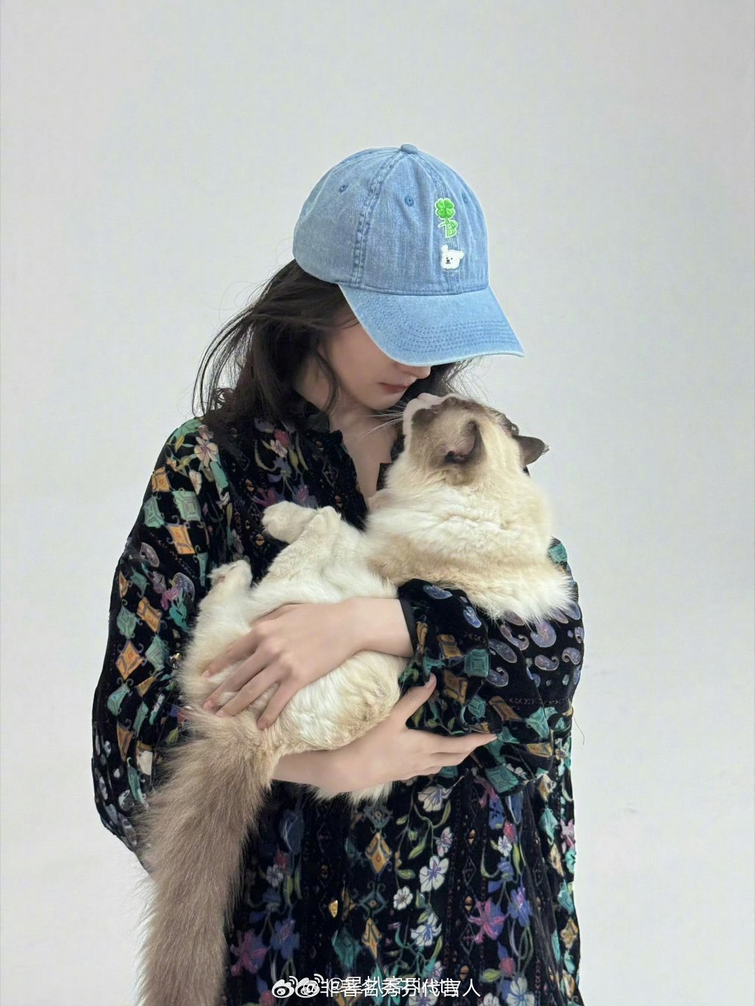 冷知识→幂姐养的三只小猫咪都是流浪猫杨幂养的都是流浪猫