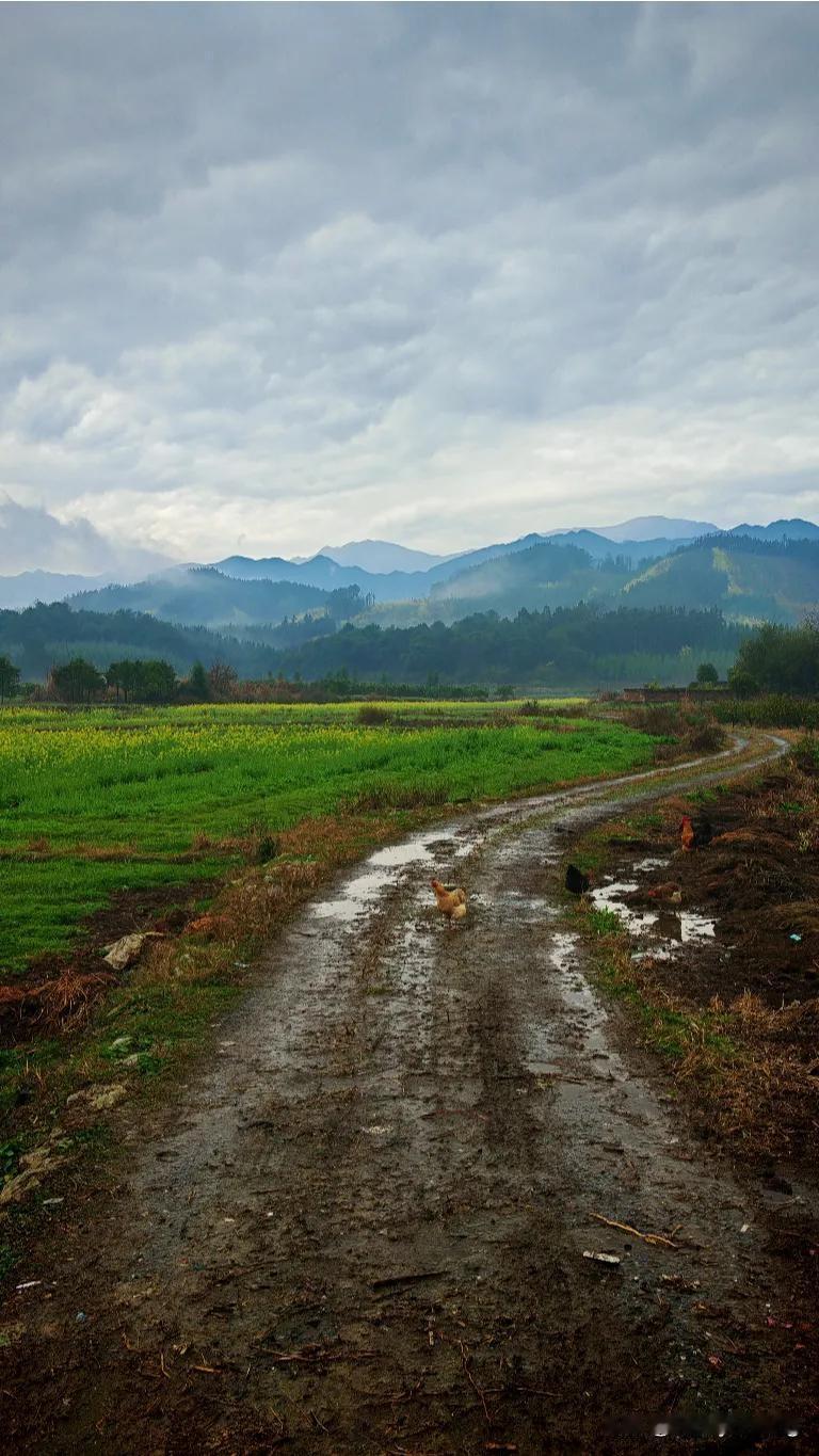 车主关注：2026年私家车年检新政还是改变了不少，但是在深圳的年检费用可是一点没