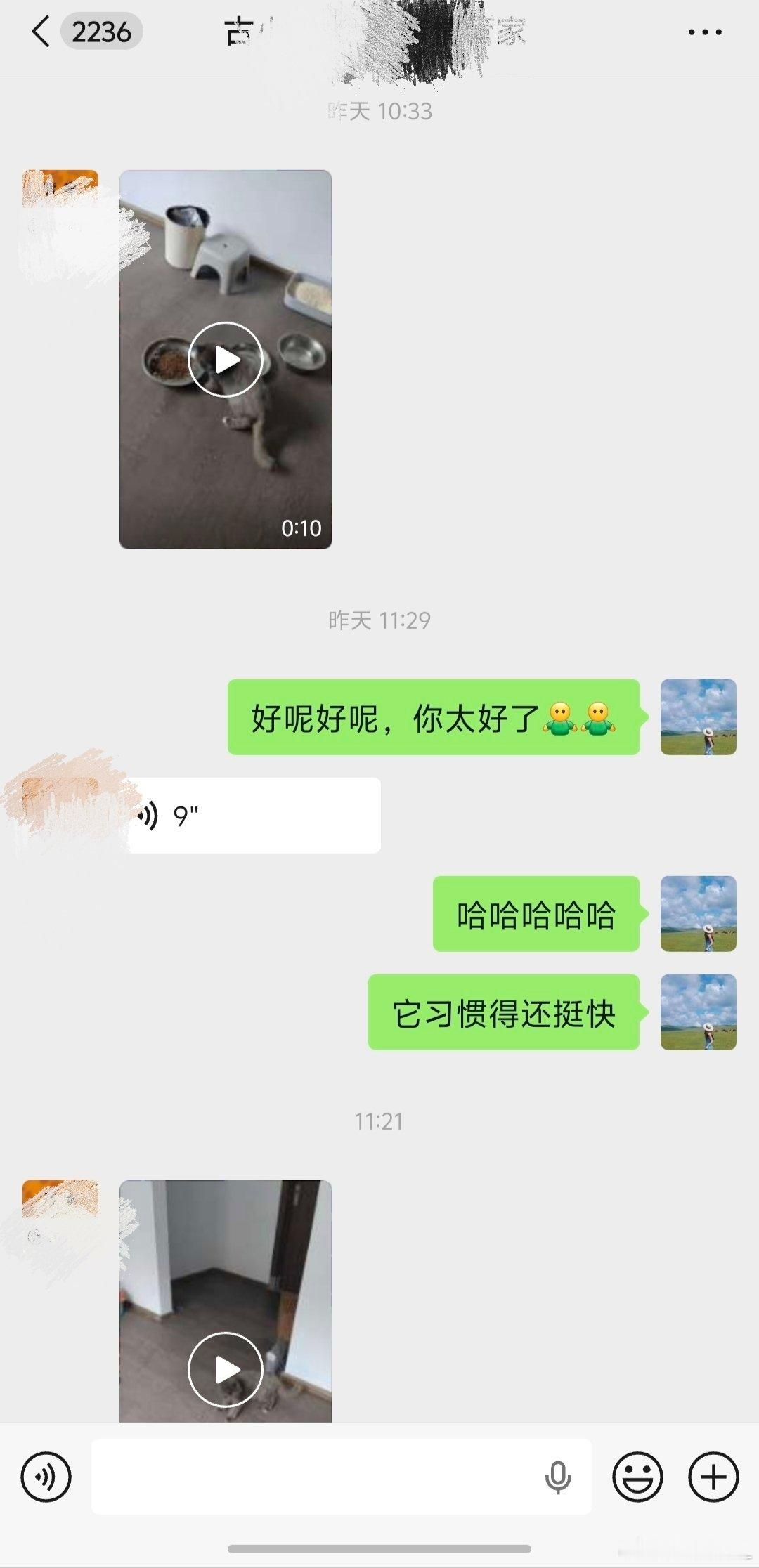 以后终于可以放心出差放心去玩了。7只猫终于找到照顾的人了。物业管家还是不错的。一