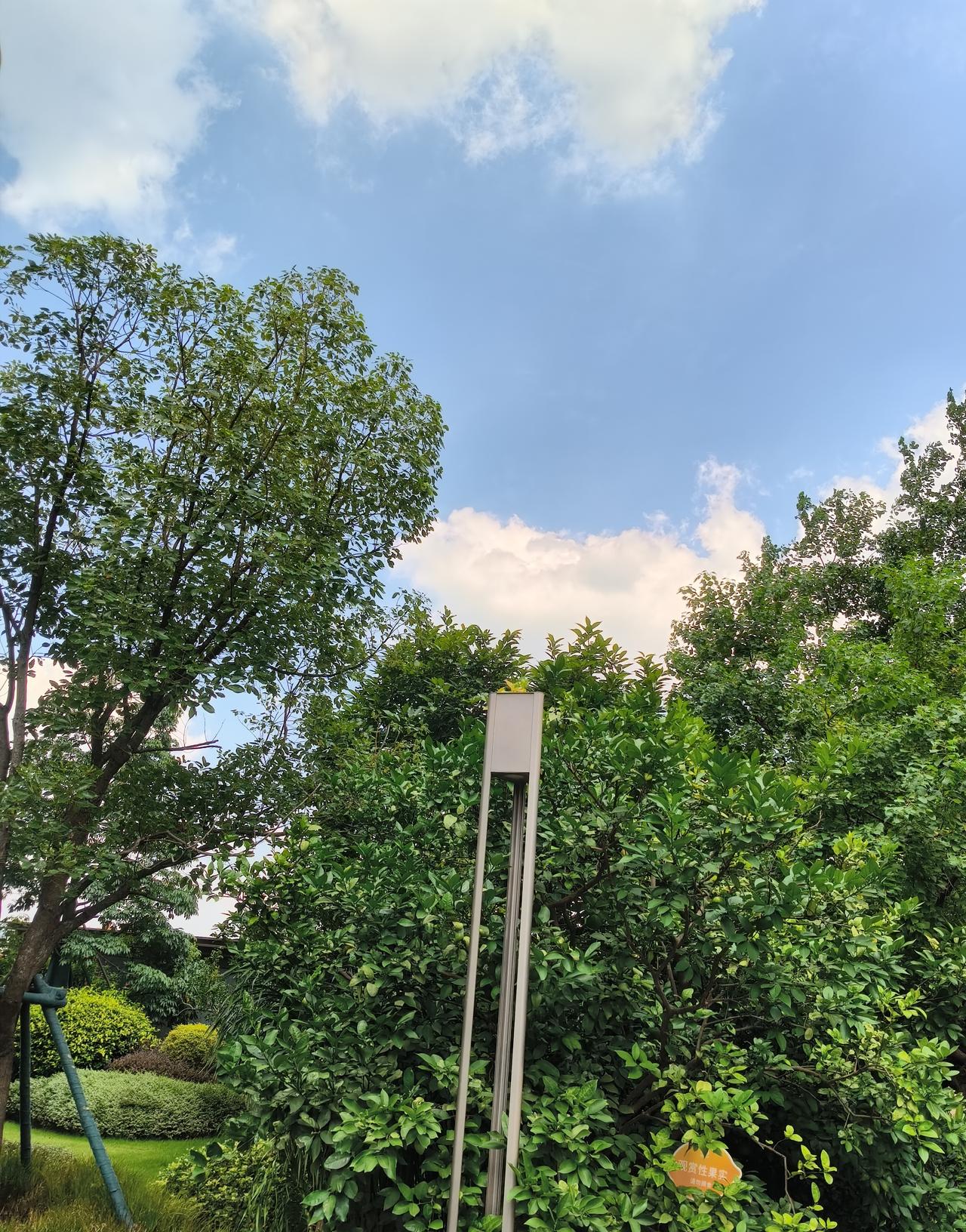 邻居家又换保姆了，据我所知，这已经是第三位了。听这位保姆说，自己做不下去并非对雇