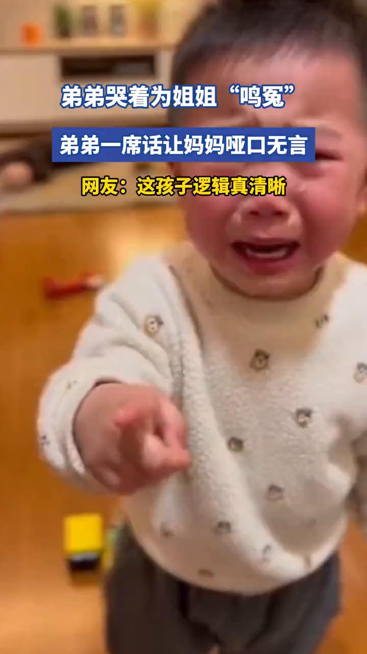弟弟哭着为姐姐"鸣冤"，弟弟一席话让妈妈哑口无言。网友：这孩子逻辑真清晰。
姐姐