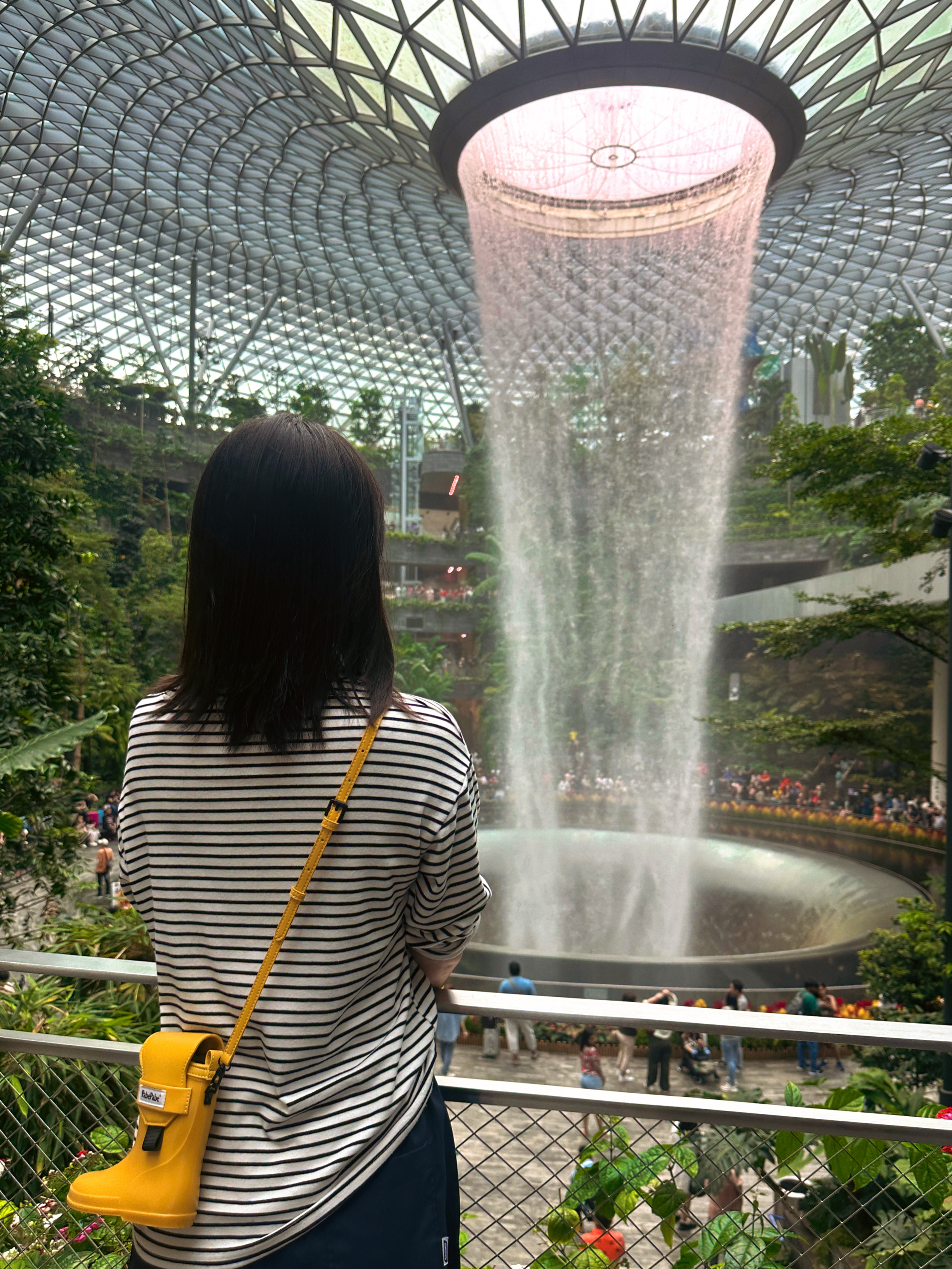 一张图证明你来过新加坡，图二像不像一个大花洒🚿～好想下去冲个澡[笑cry]对了