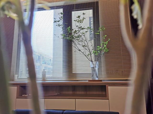 百叶帘值不值得装？老公想要、老婆争吵，到底听谁的好？