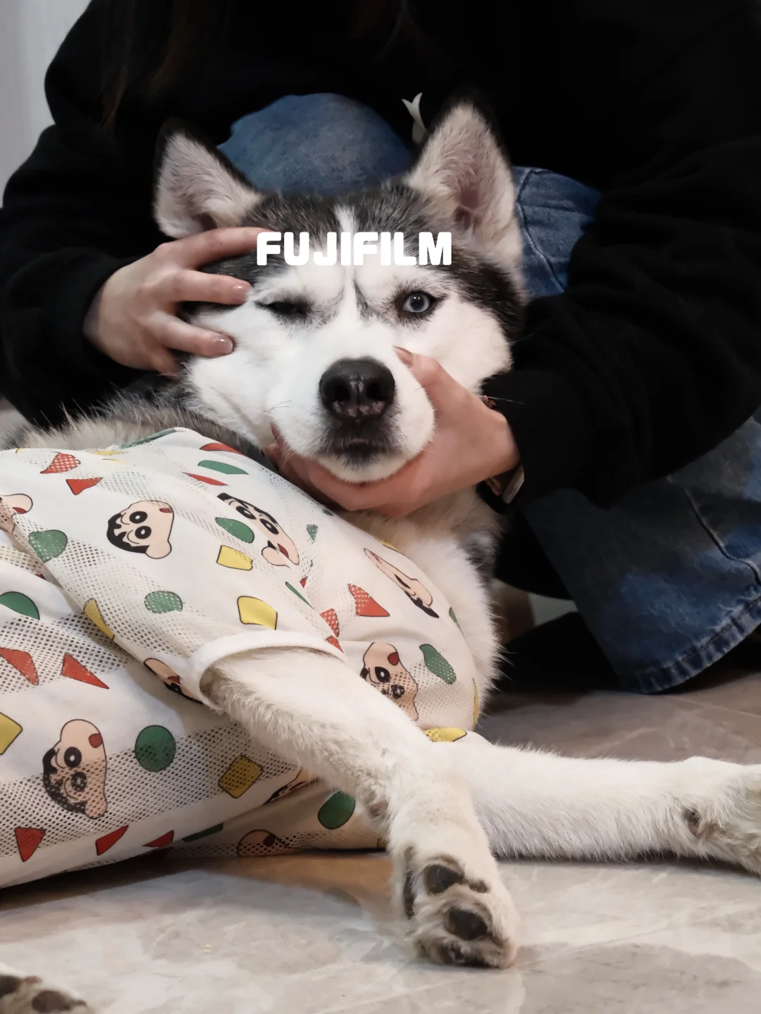 新入手的四台相机📷