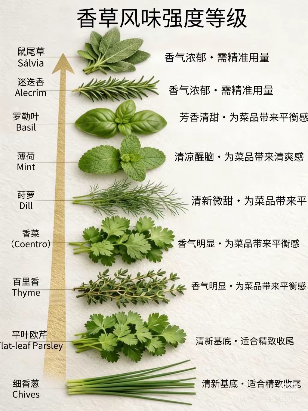 香草 