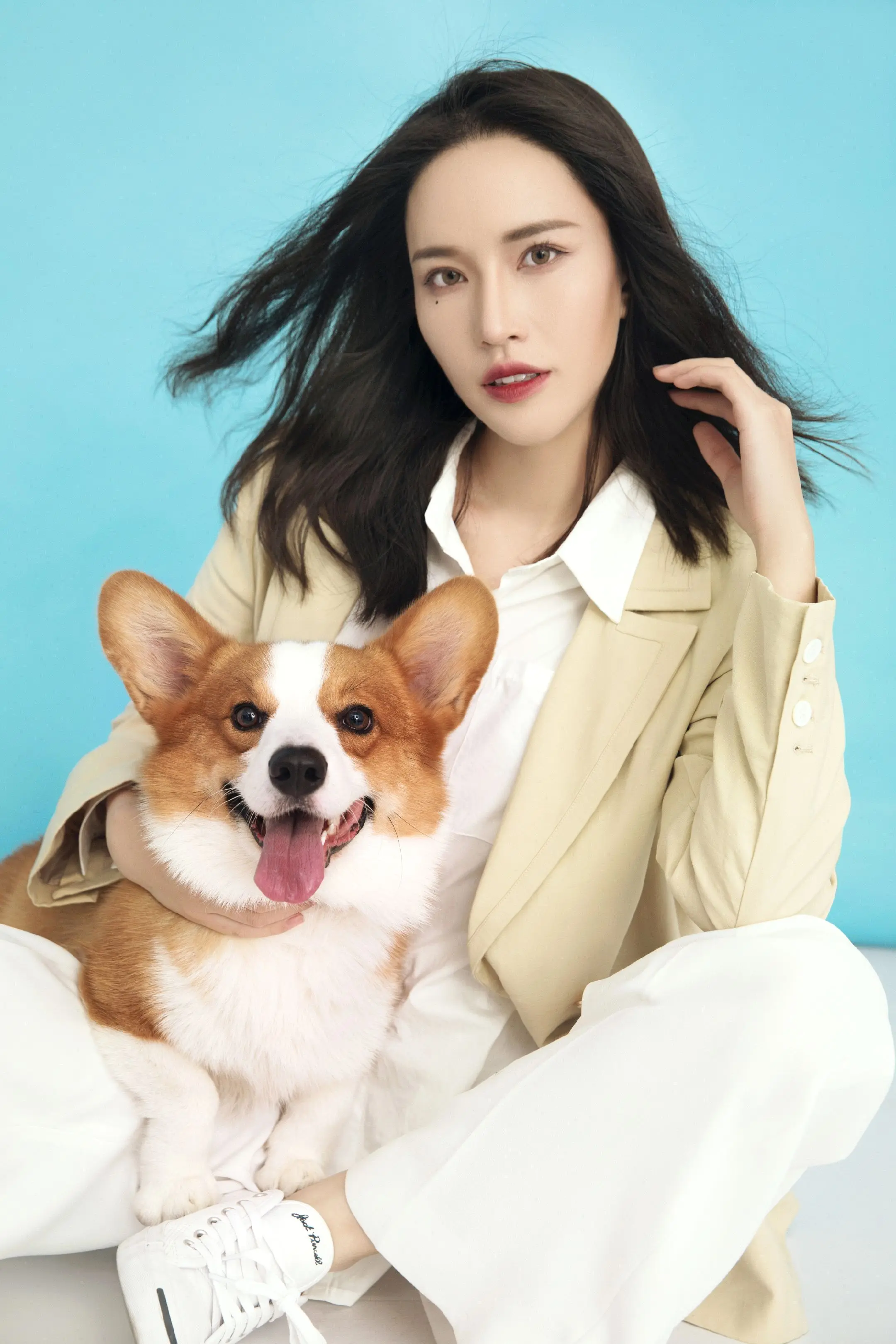 宠物写真｜微笑天使柯基的治愈系笑容。听劝！养柯基第一件事：拍一组笑脸合...