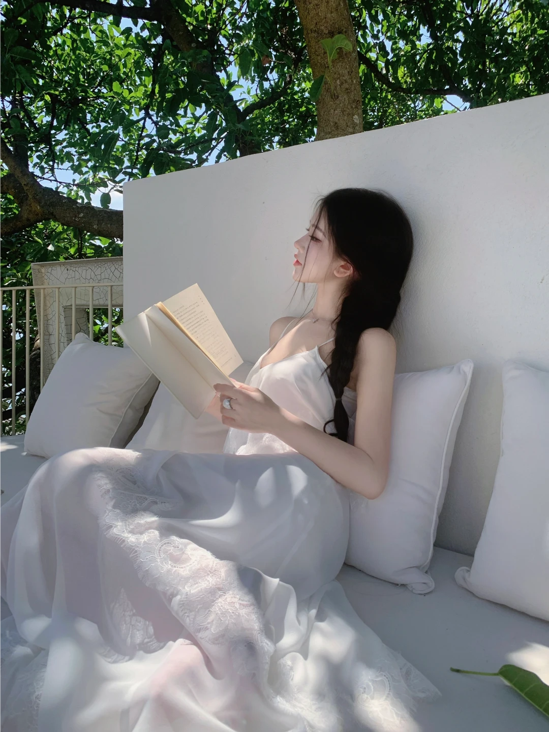 树下 是我的夏天🌳