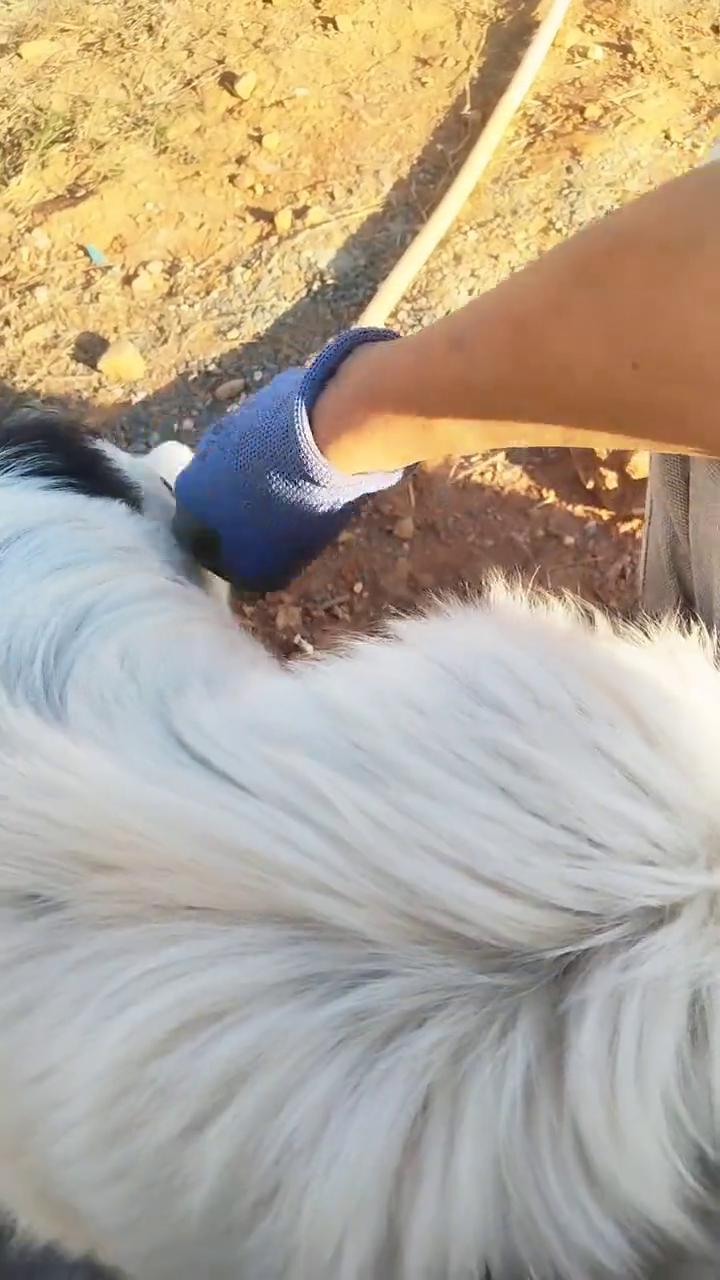 没想到混熟了，给他家干活。
吐出来，你躺到我怀里来了。小狐狸，小不点也太无耻了。