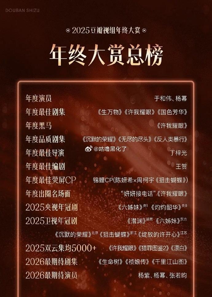 2025豆瓣视组年终大赏 