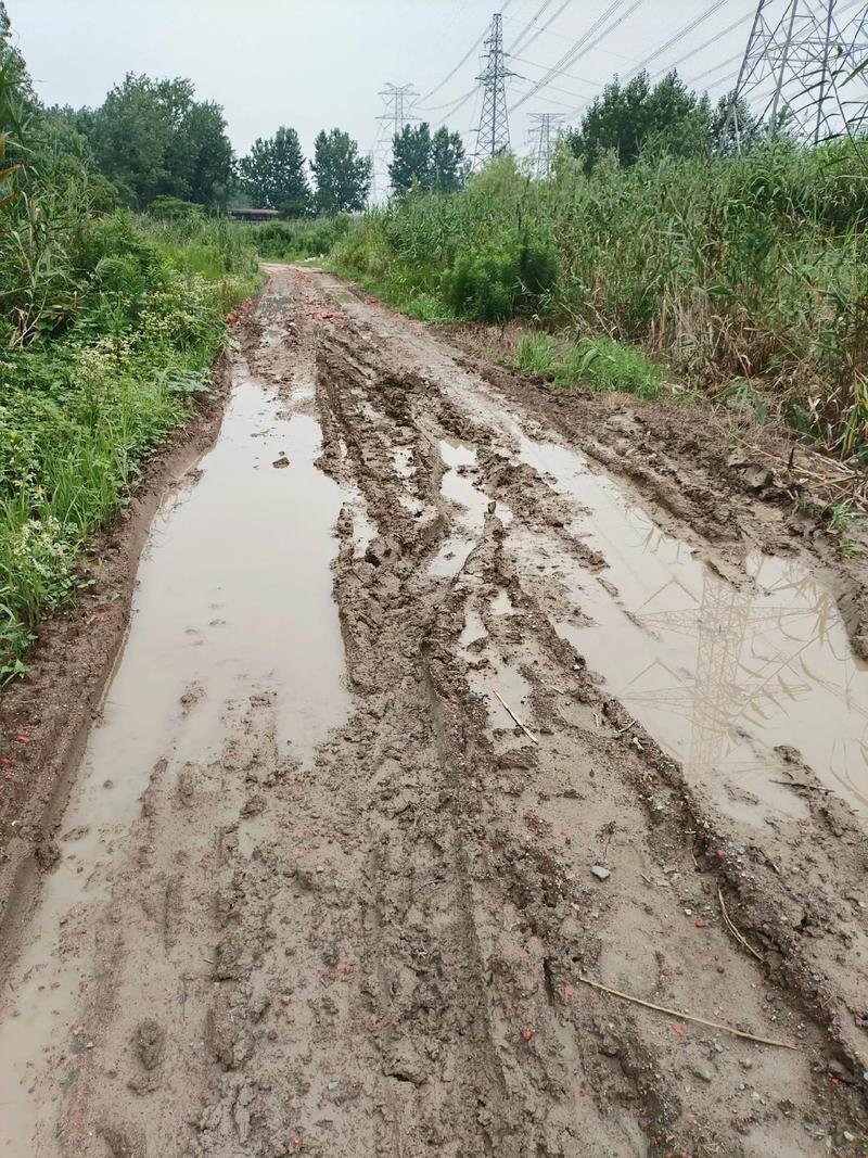 老家村里的乡间小路，一直都是土路。晴天倒还好，只要下点雨，道路一片泥泞，人们进出