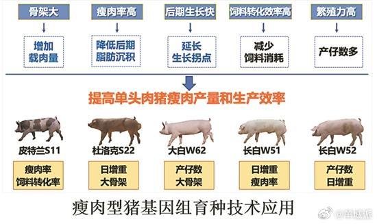 【解决“卡脖子”难题 ，温氏一技术成果获广东省科技进步奖一等奖】10月17日，广