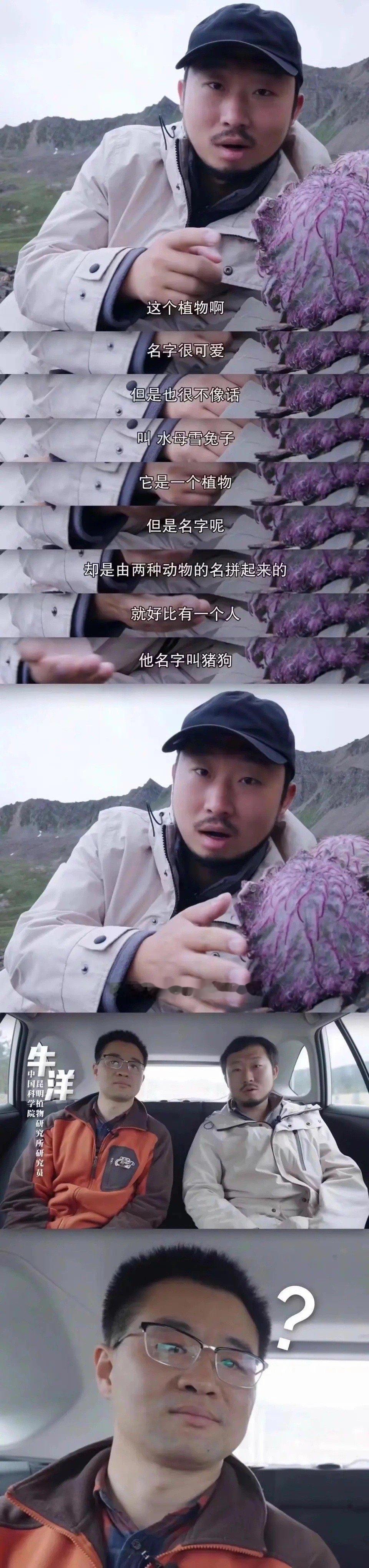 看一次笑一次[允悲] ​​​